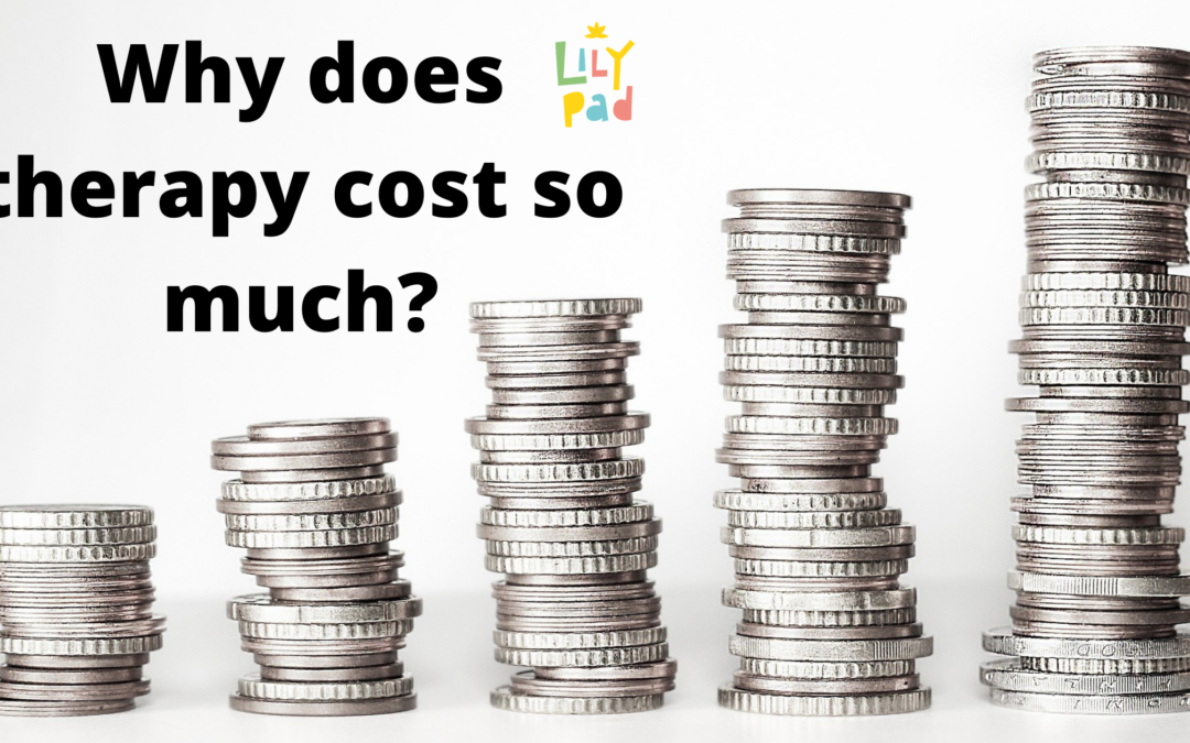Why does therapy cost so much? And can I get help to fund it?
